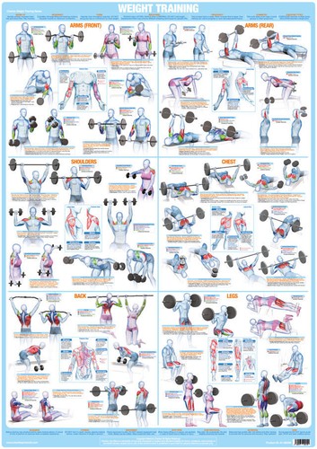 Weight training poster - weight,