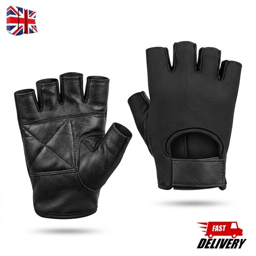 Weight lifting gym - lifting, gloves